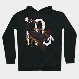 Scorpio - Colour outline no flowers Hoodie